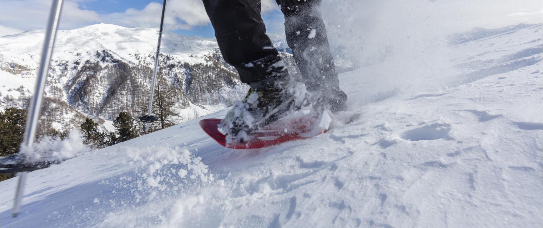 Racchette da neve