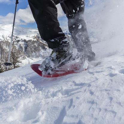 Snowshoe Hiking