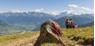 Hiking Taxi