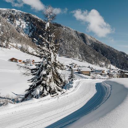 Alpine Huts & Dining